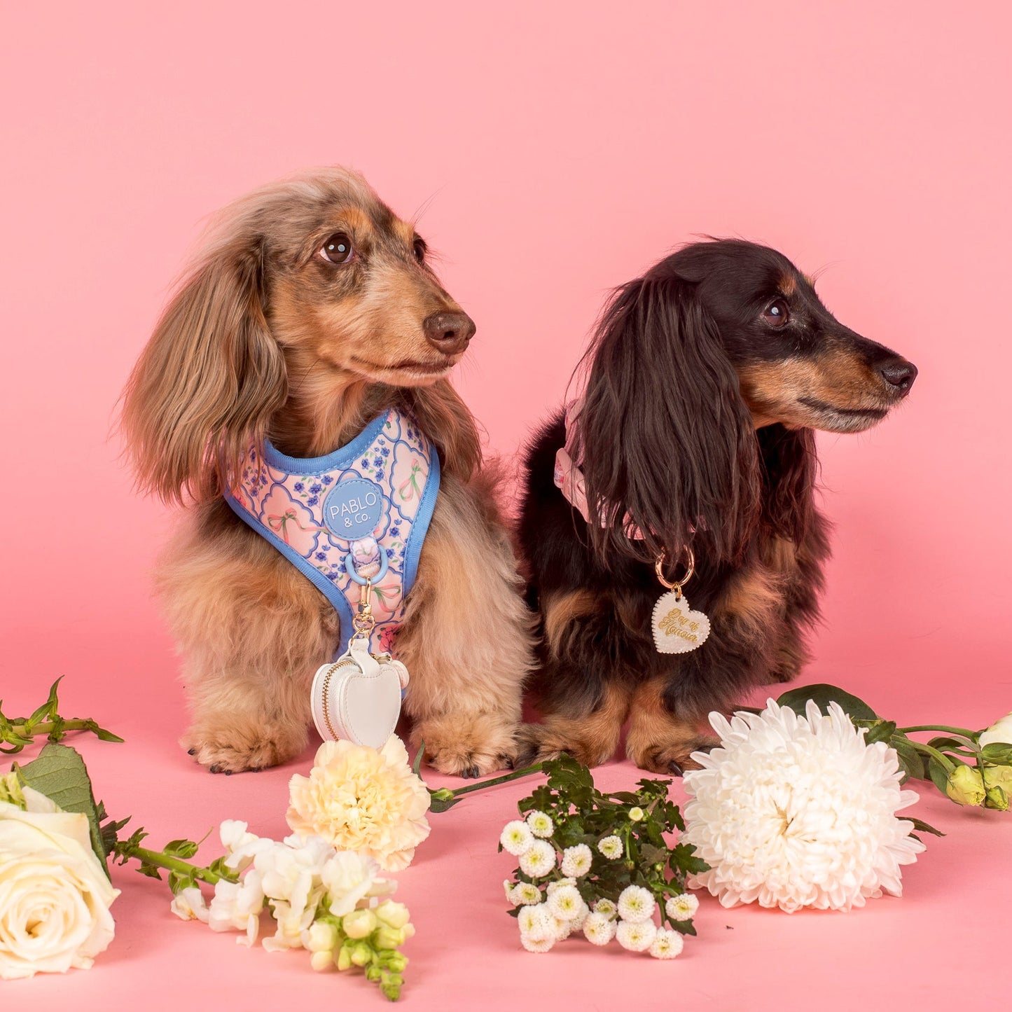 Petal: Adjustable Harness