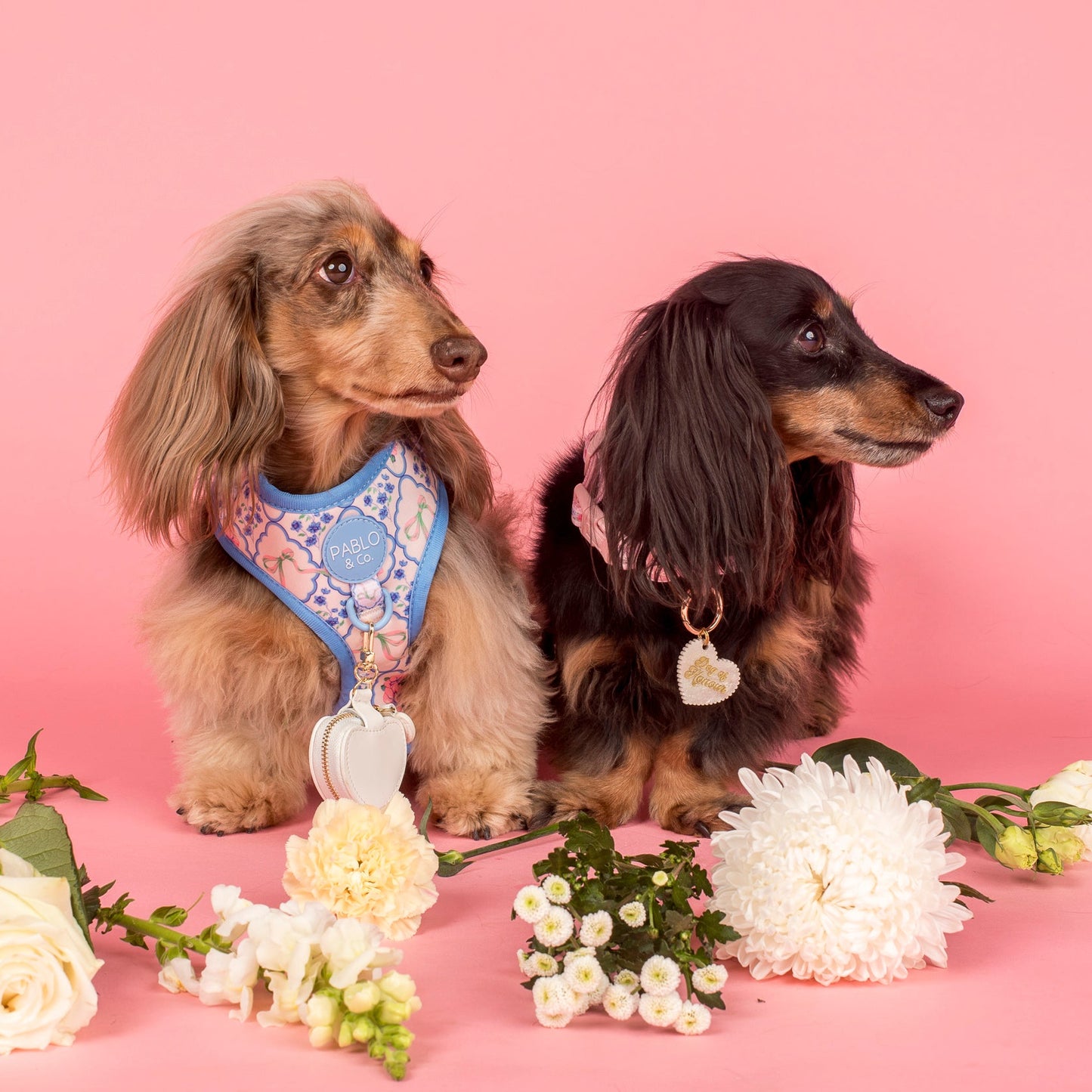 Heart Dog Ring Bearer Pouch