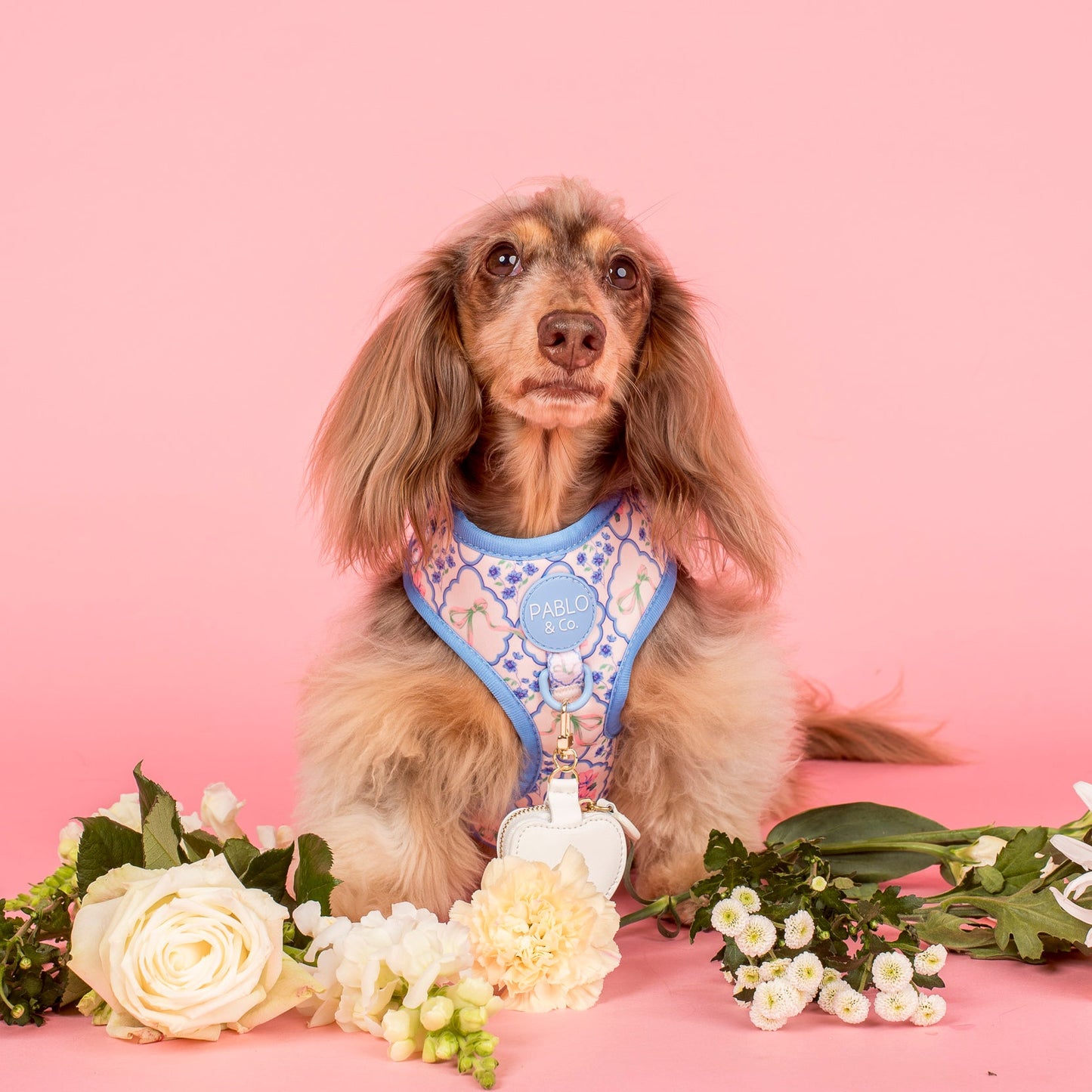 Petal: Adjustable Harness