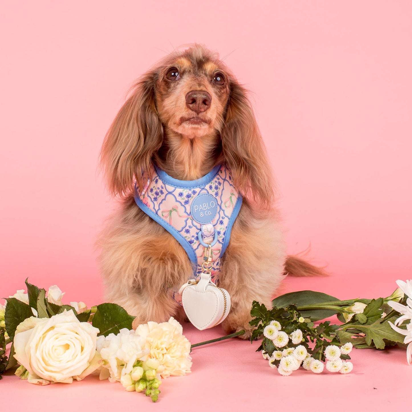 Heart Dog Ring Bearer Pouch