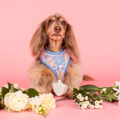 Heart Dog Ring Bearer Pouch