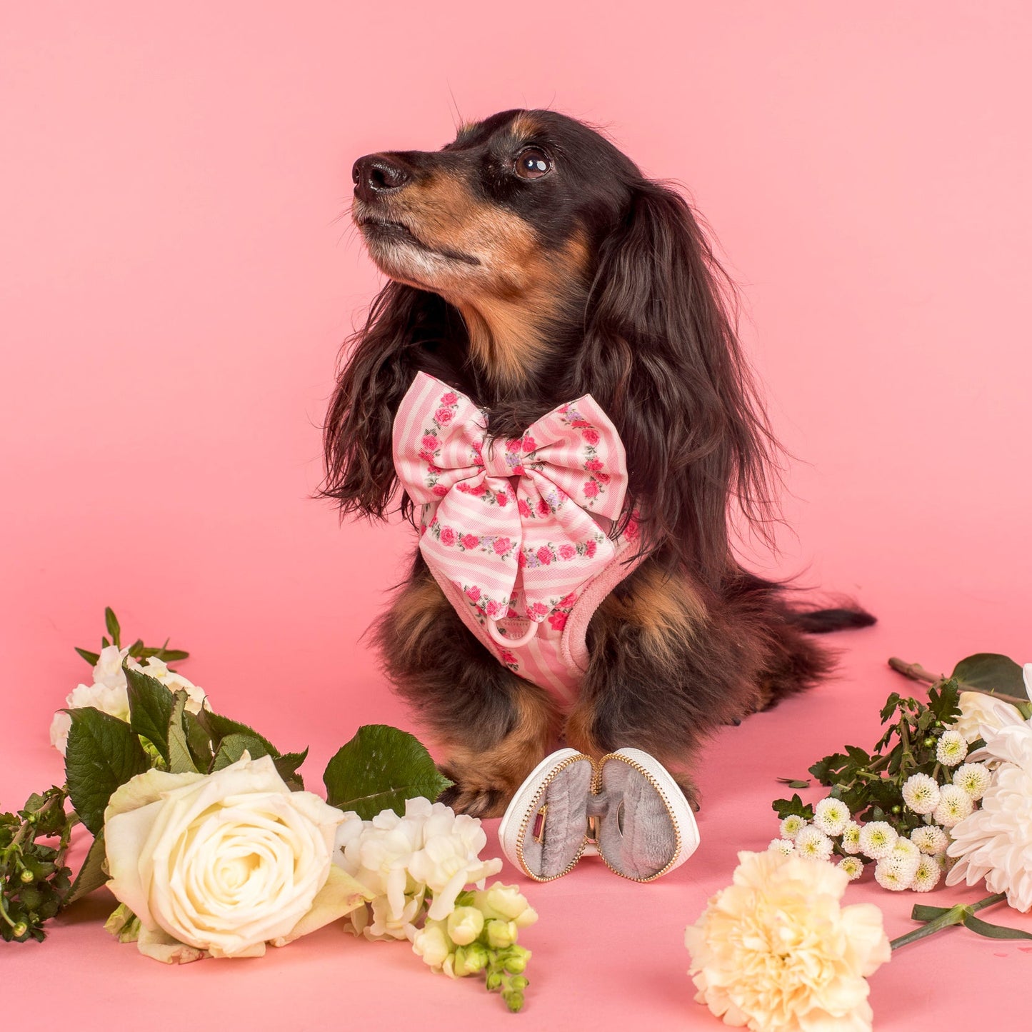 Heart Dog Ring Bearer Pouch