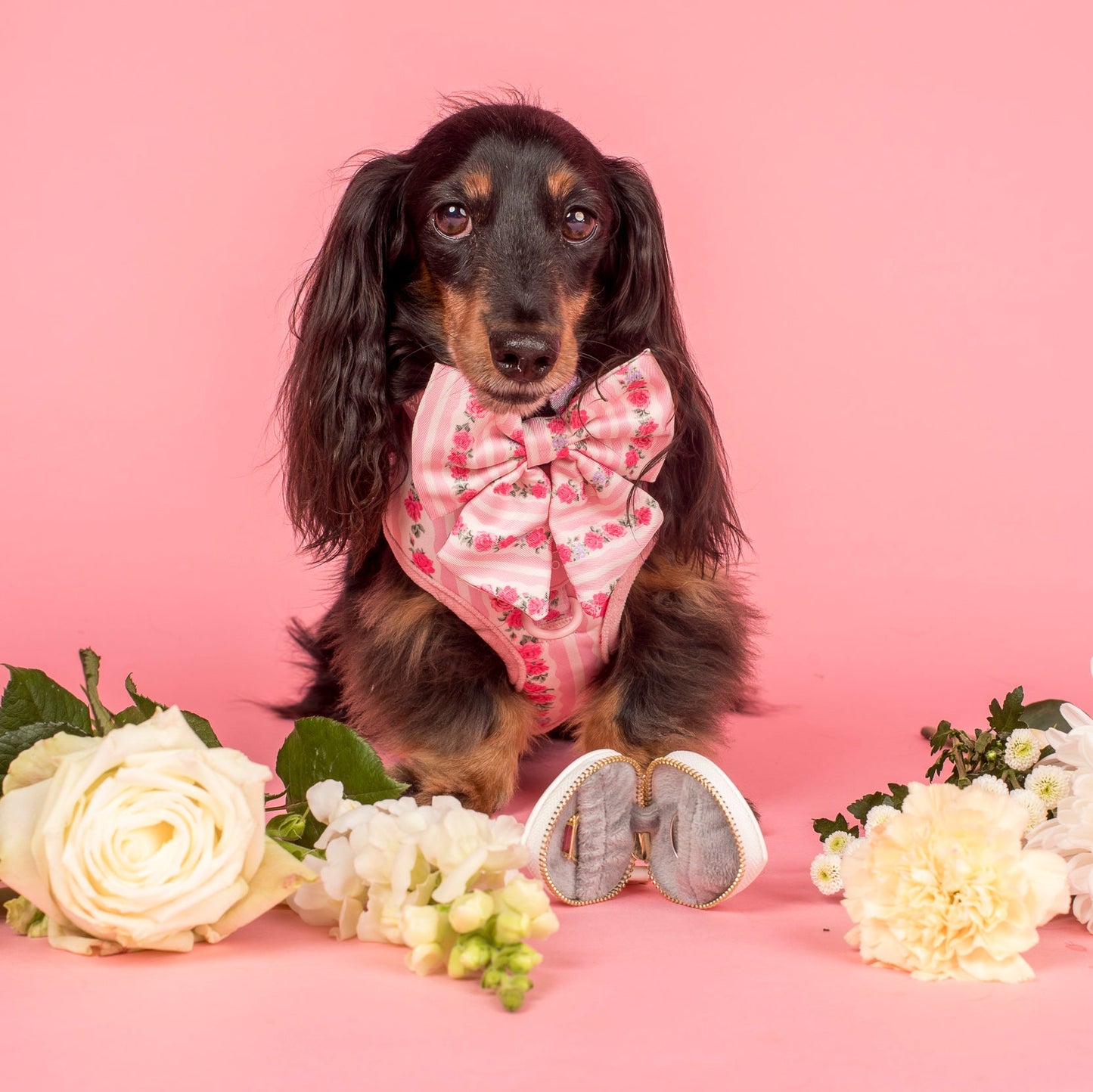 Heart Dog Ring Bearer Pouch