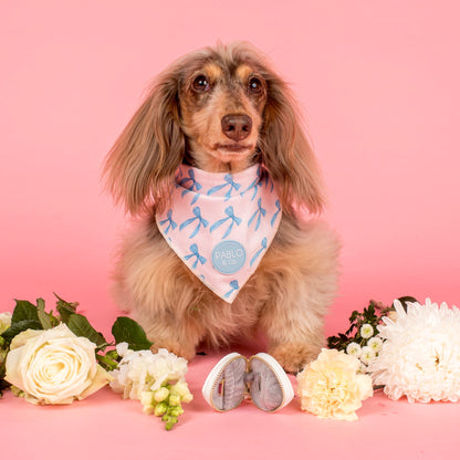 Heart Dog Ring Bearer Pouch