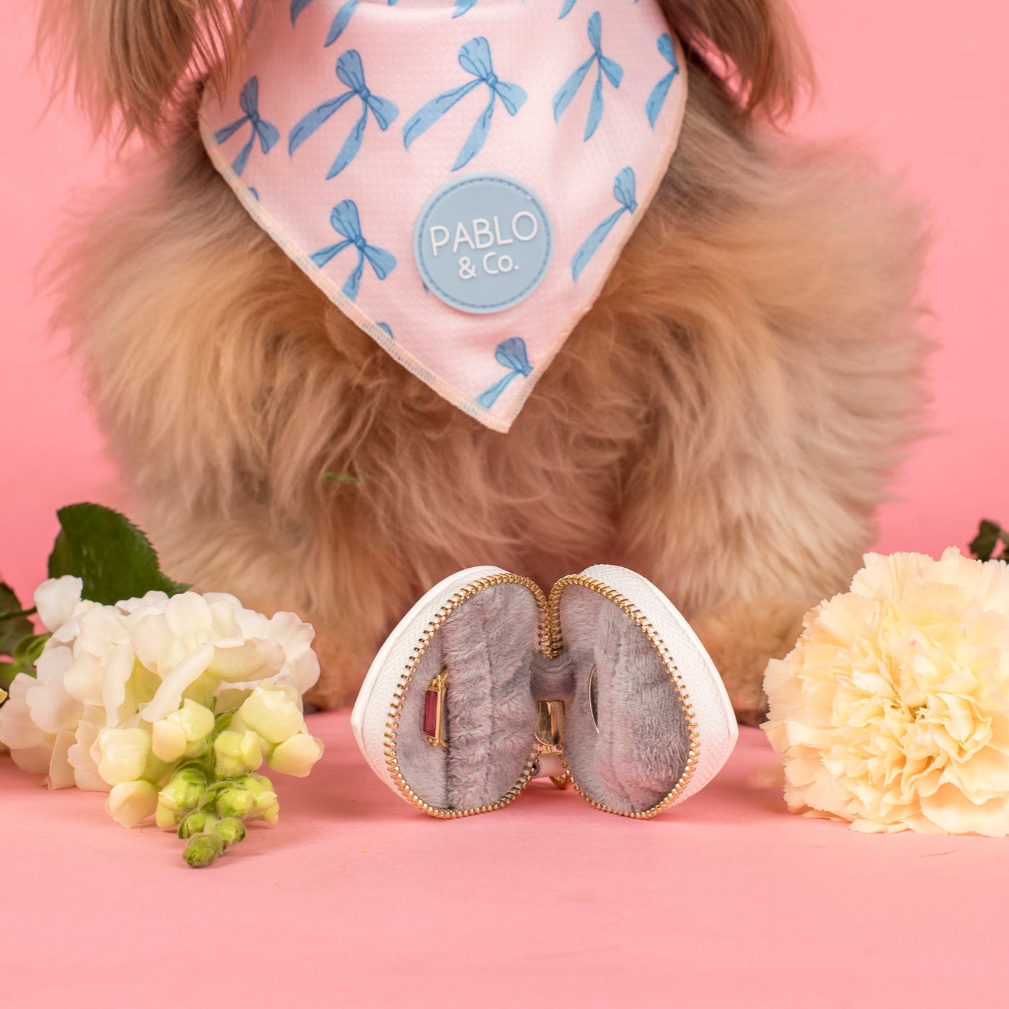 Heart Dog Ring Bearer Pouch