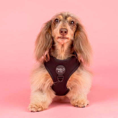 Black: Adjustable Harness