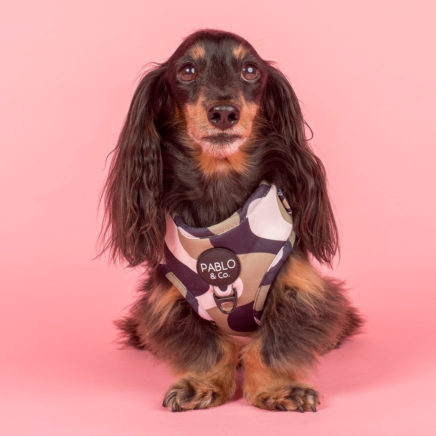 Navy Wavy: Adjustable Harness