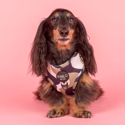 Navy Wavy: Adjustable Harness