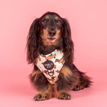 Wiener Dogs: Adjustable Harness