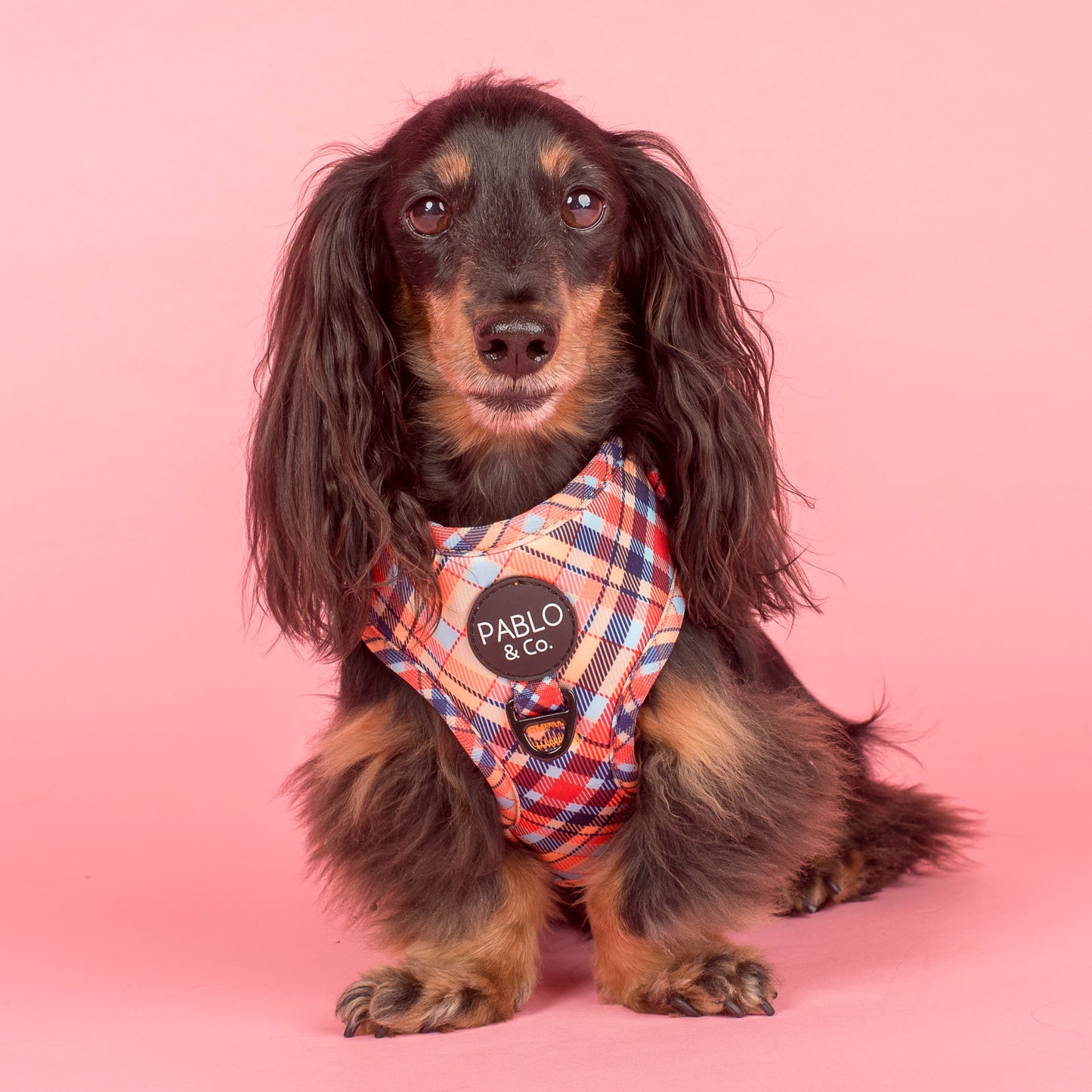 Tartan: Adjustable Harness