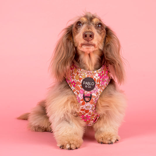 Pink Posies: Adjustable Harness