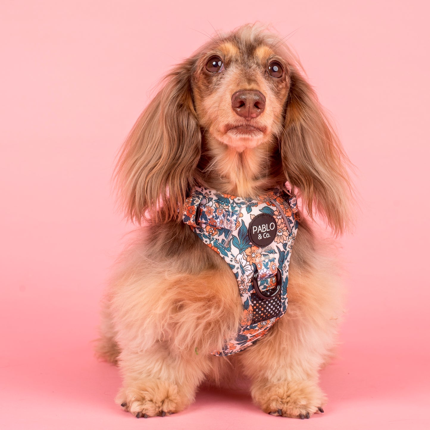 Wildflowers: No Pull Adventure Harness