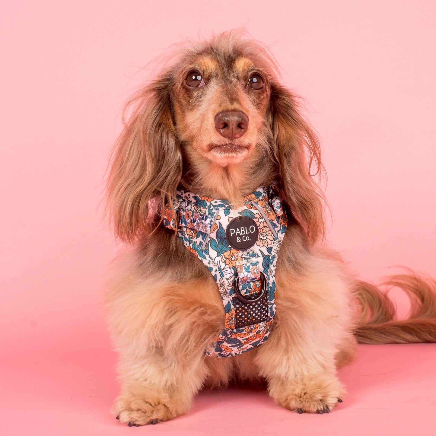 Wildflowers: No Pull Adventure Harness