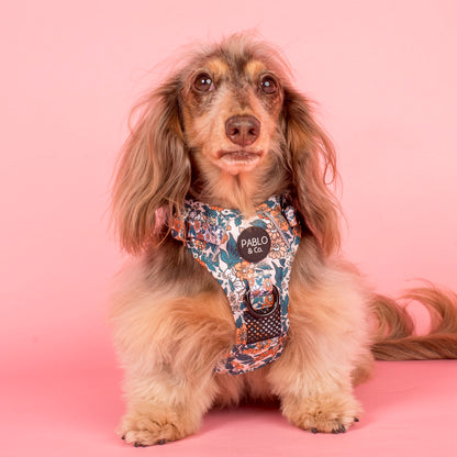 Wildflowers: No Pull Adventure Harness
