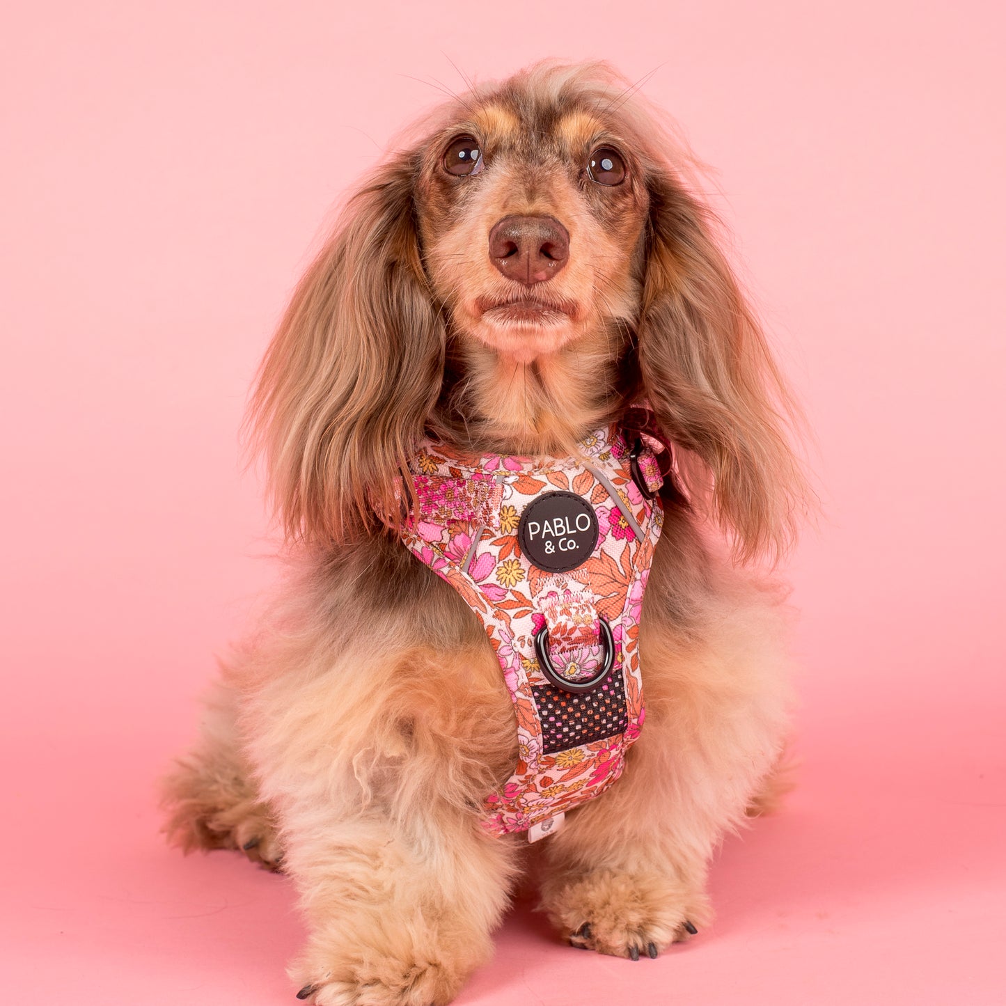 Pink Posies: No Pull Adventure Harness