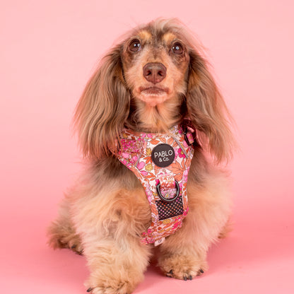 Pink Posies: No Pull Adventure Harness
