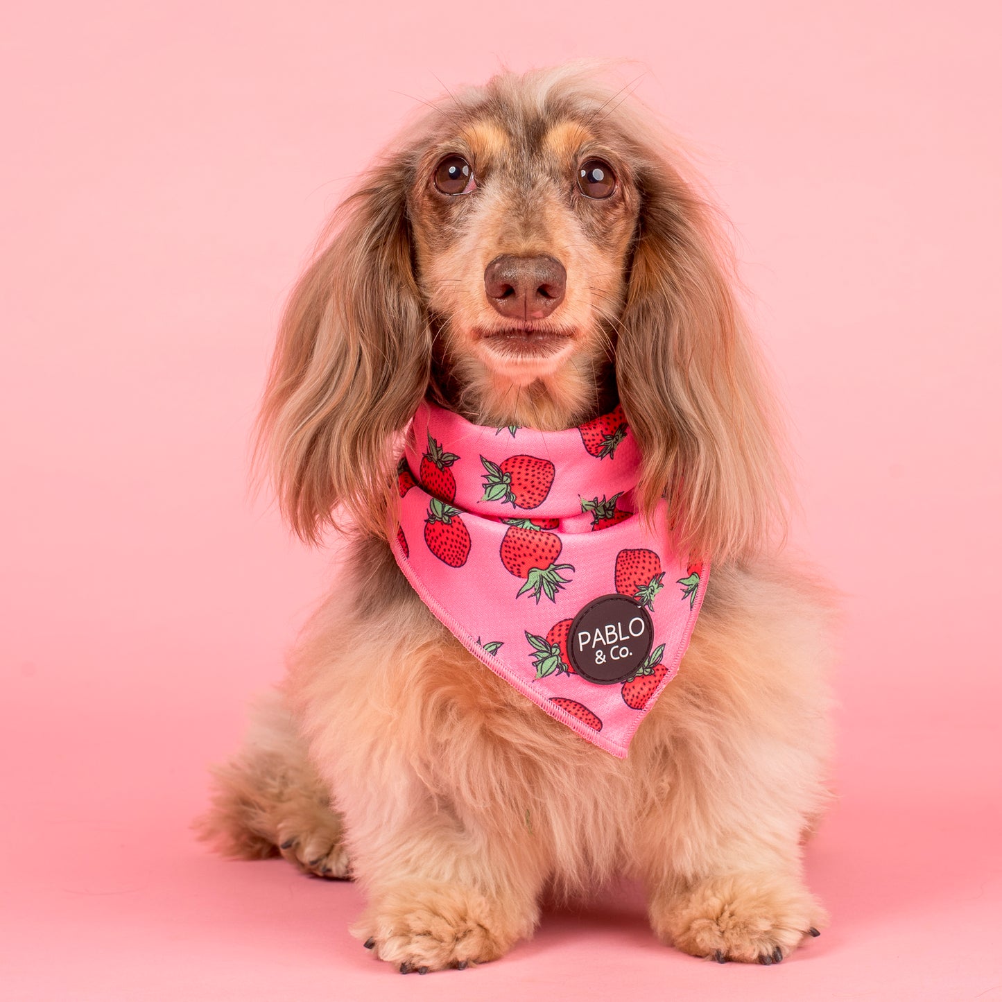 Strawberries: Dog Bandana