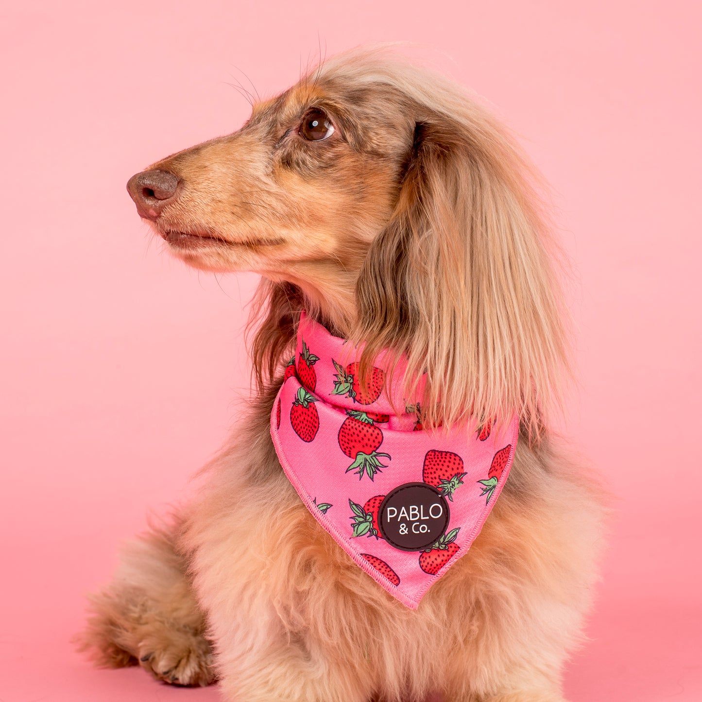 Strawberries: Dog Bandana