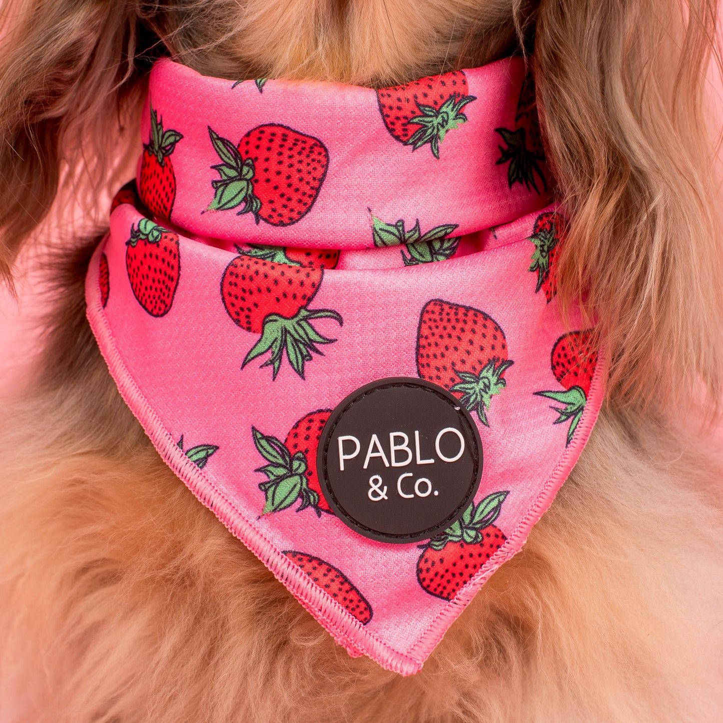Strawberries: Dog Bandana