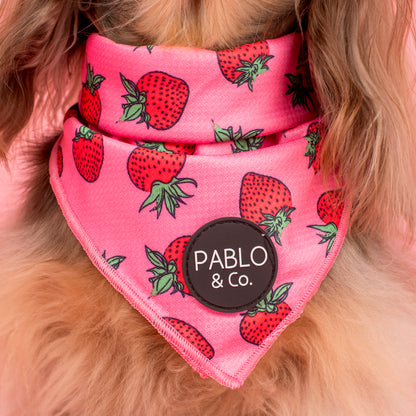 Strawberries: Dog Bandana