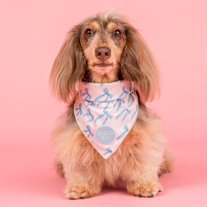Baby Blue Bows: Dog Bandana
