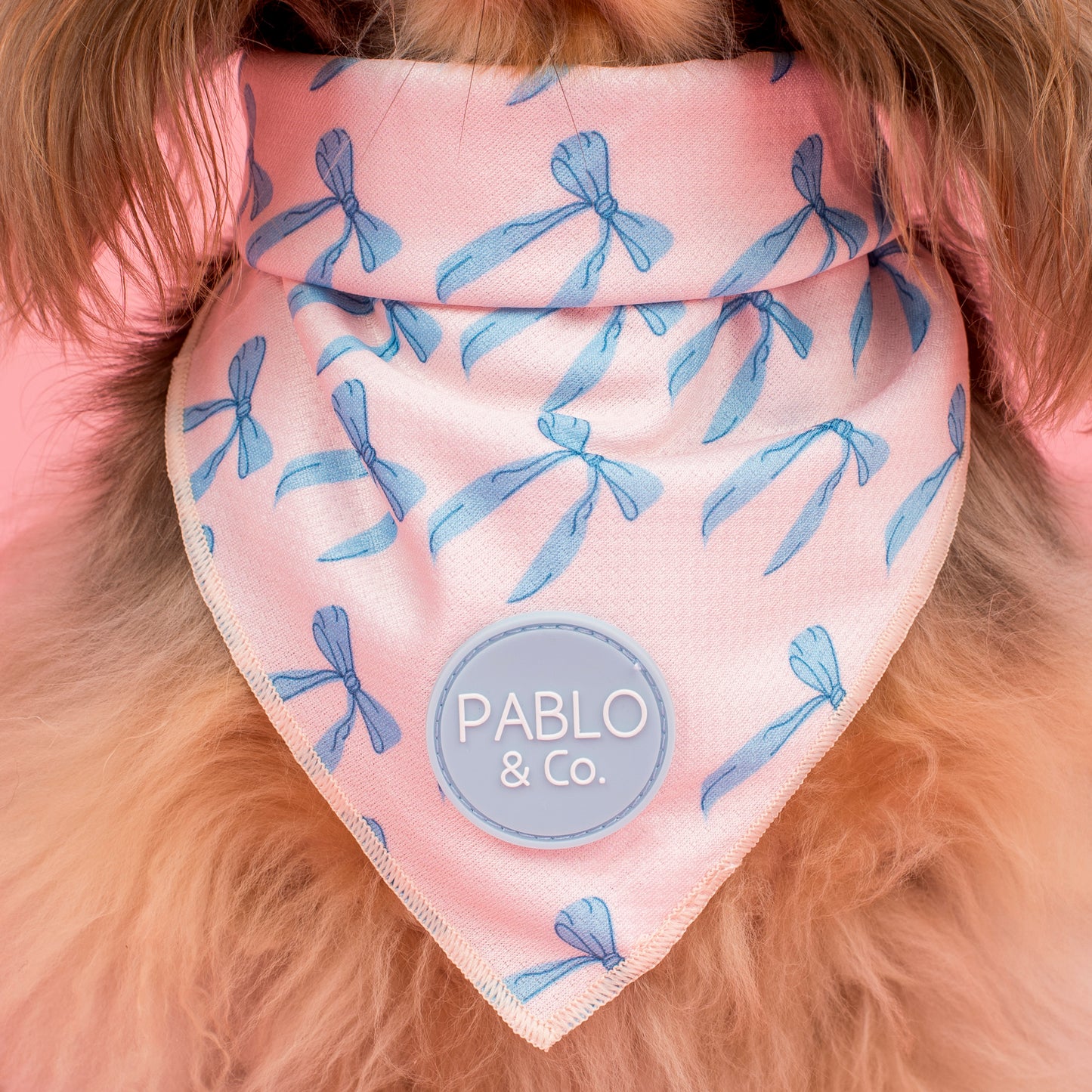 Baby Blue Bows: Dog Bandana