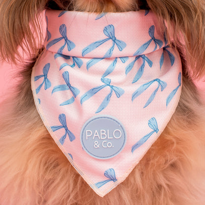 Baby Blue Bows: Dog Bandana