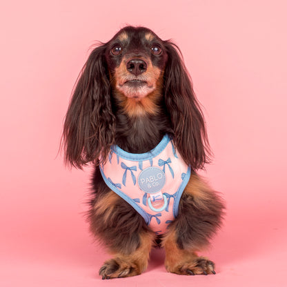 Baby Blue Bows: Adjustable Harness