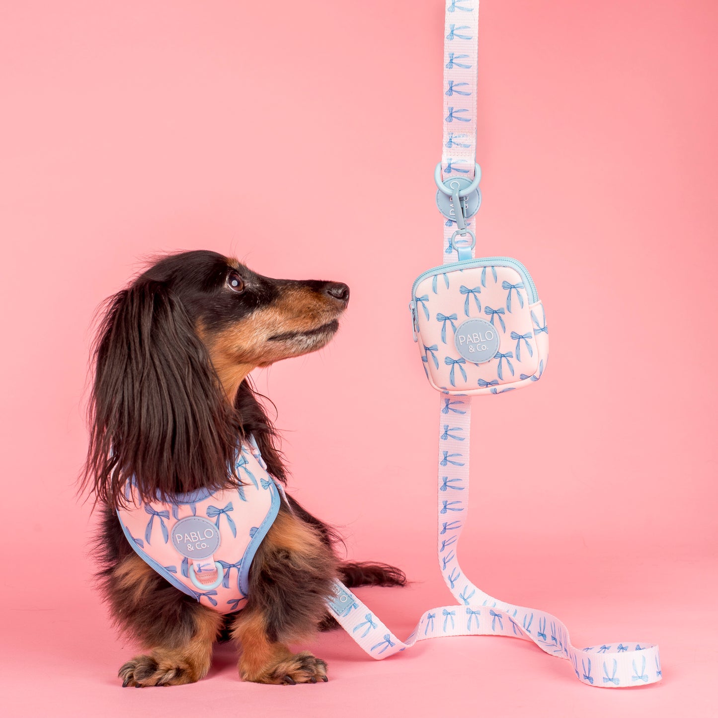 Baby Blue Bows: Adjustable Harness