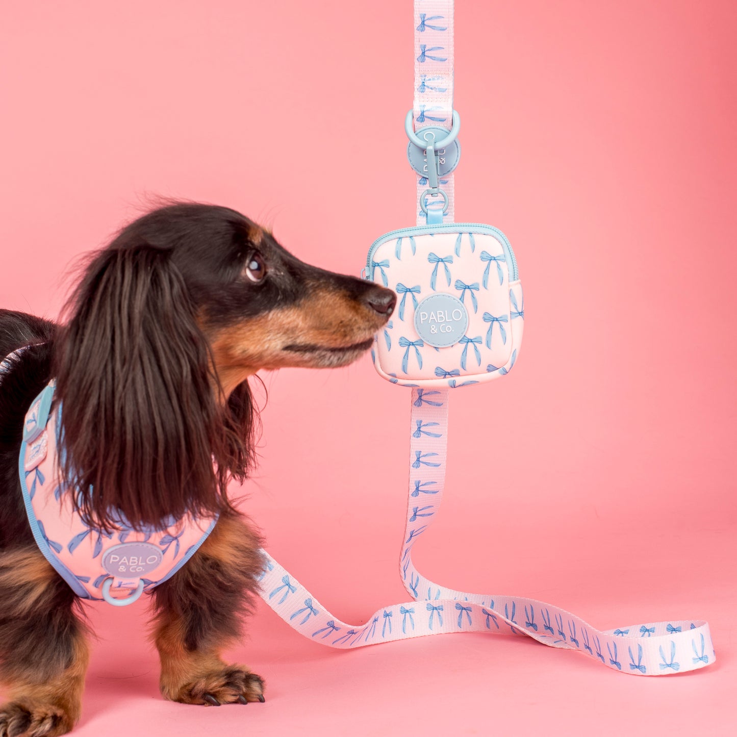 Baby Blue Bows: Treat Pouch