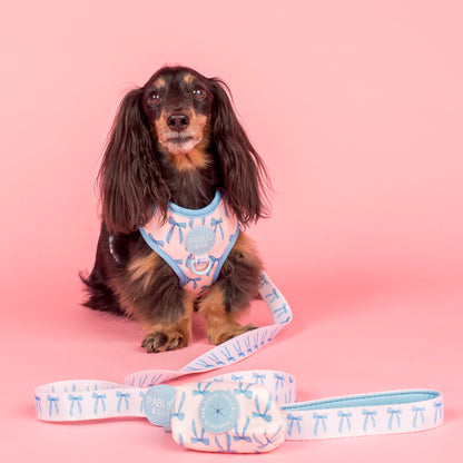 Baby Blue Bows: Poop Bag Holder