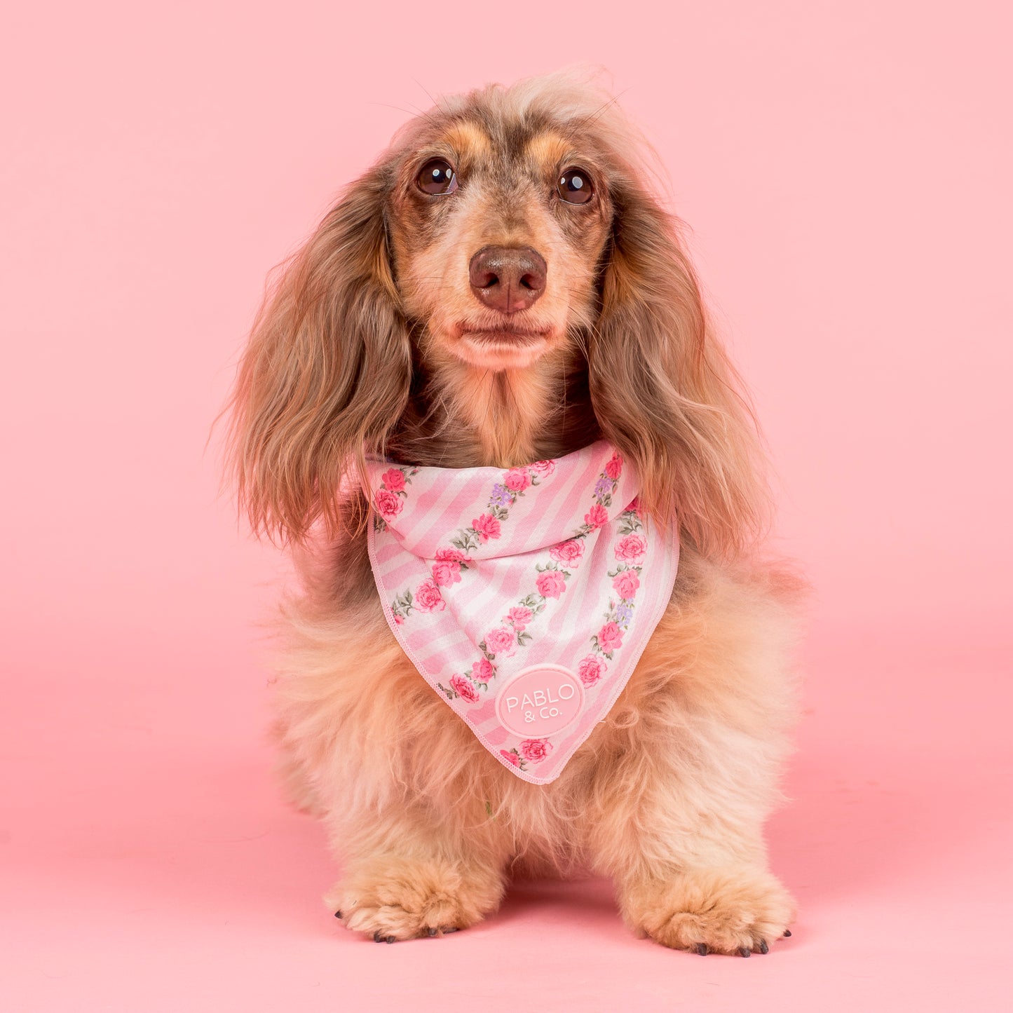 Vintage Rose: Dog Bandana