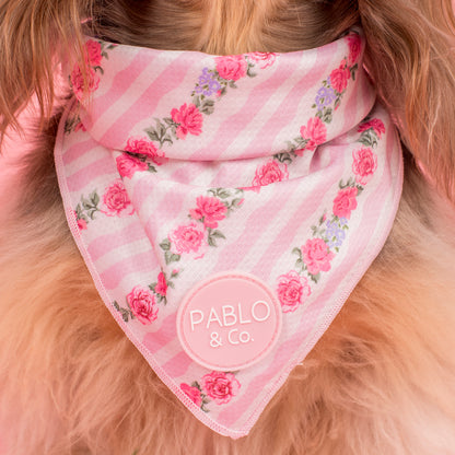 Vintage Rose: Dog Bandana