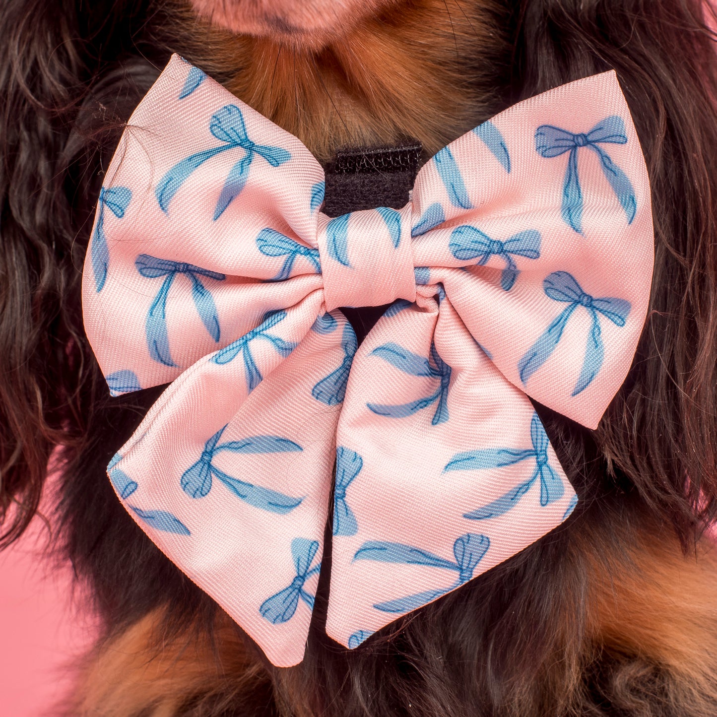 Baby Blue Bows: Sailor Bow