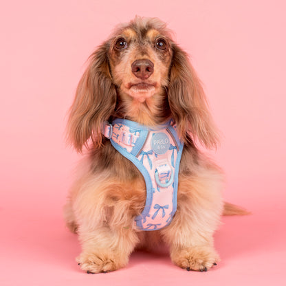 Baby Blue Bows: No Pull Adventure Harness