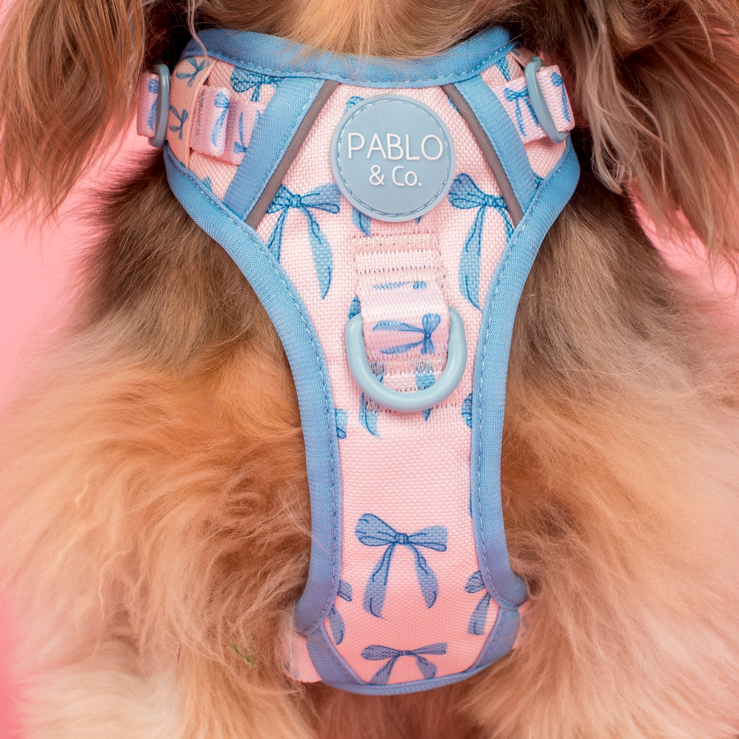Baby Blue Bows: No Pull Adventure Harness