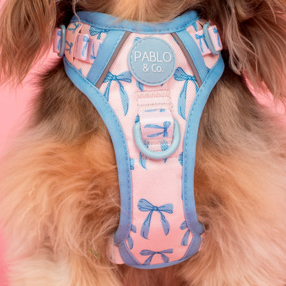 Baby Blue Bows: No Pull Adventure Harness