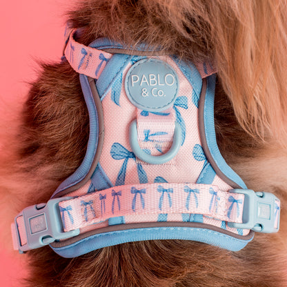 Baby Blue Bows: No Pull Adventure Harness