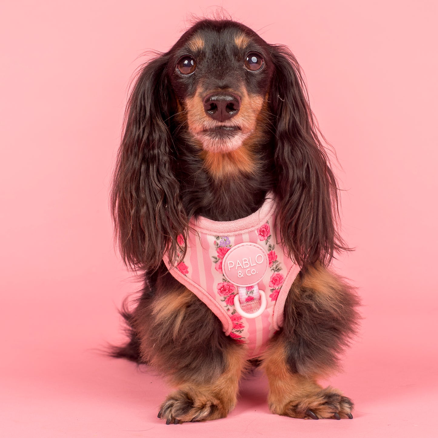 Vintage Rose: Adjustable Harness