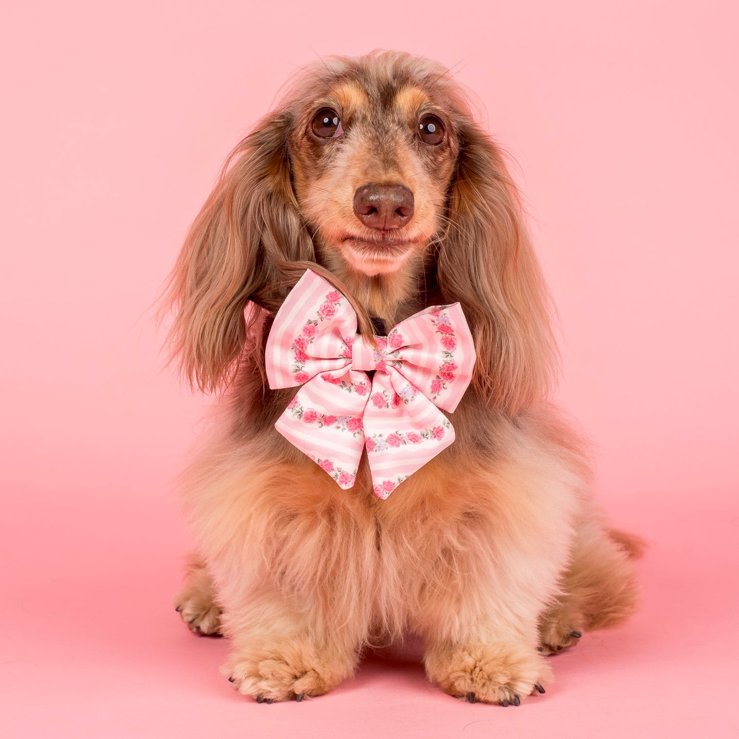 Vintage Rose: Sailor Bow