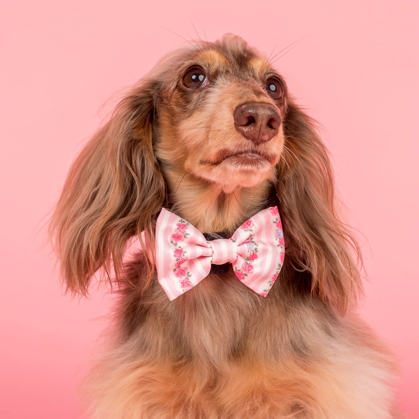 Vintage Rose: Bow Tie