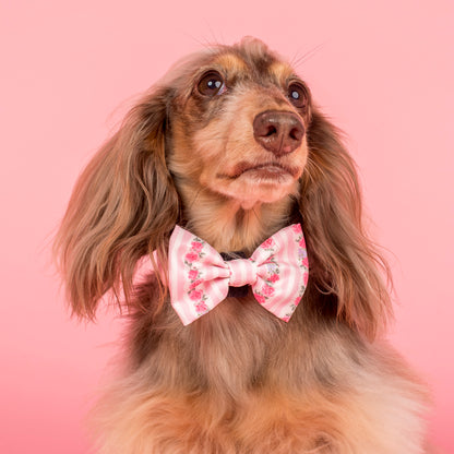 Vintage Rose: Bow Tie