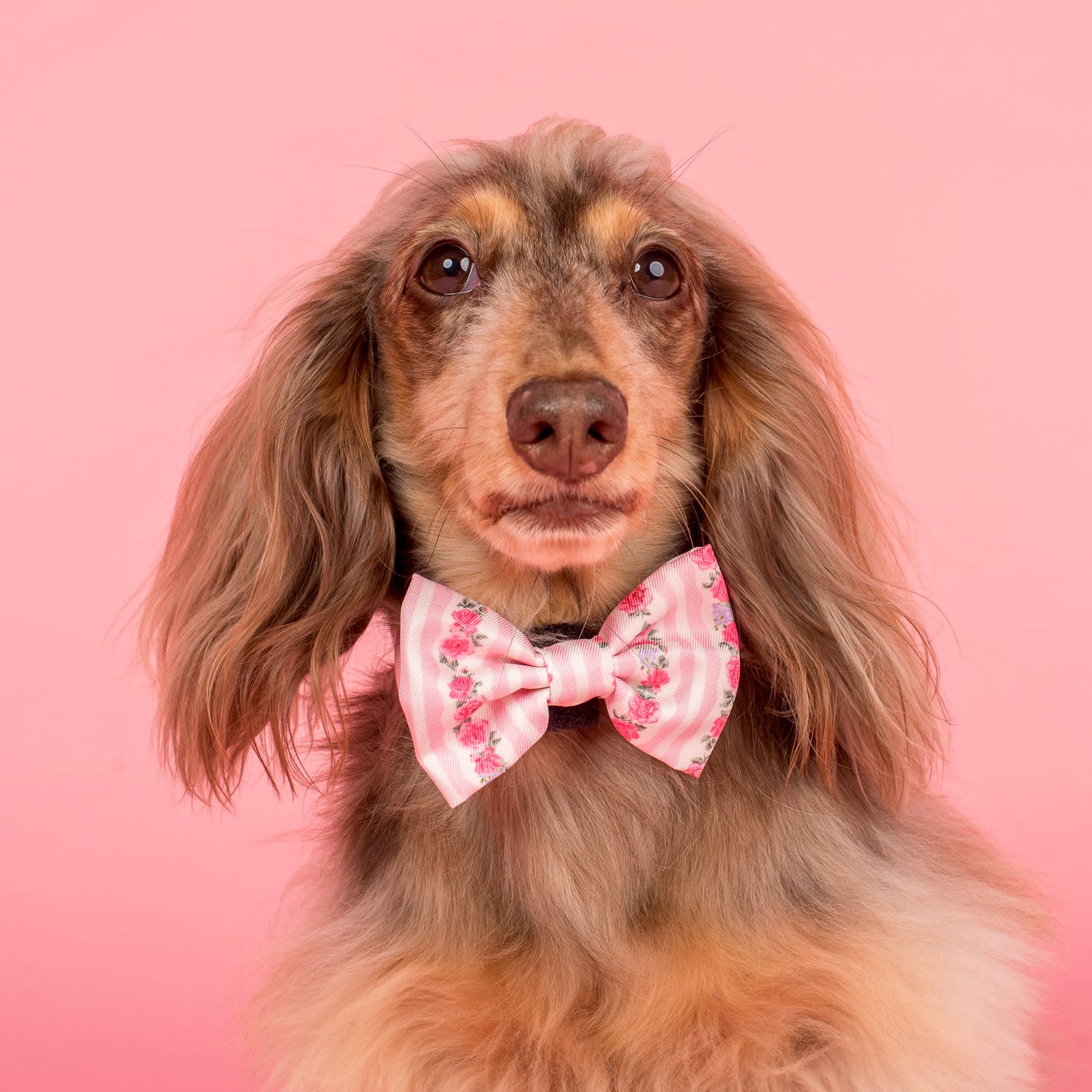 Vintage Rose: Bow Tie