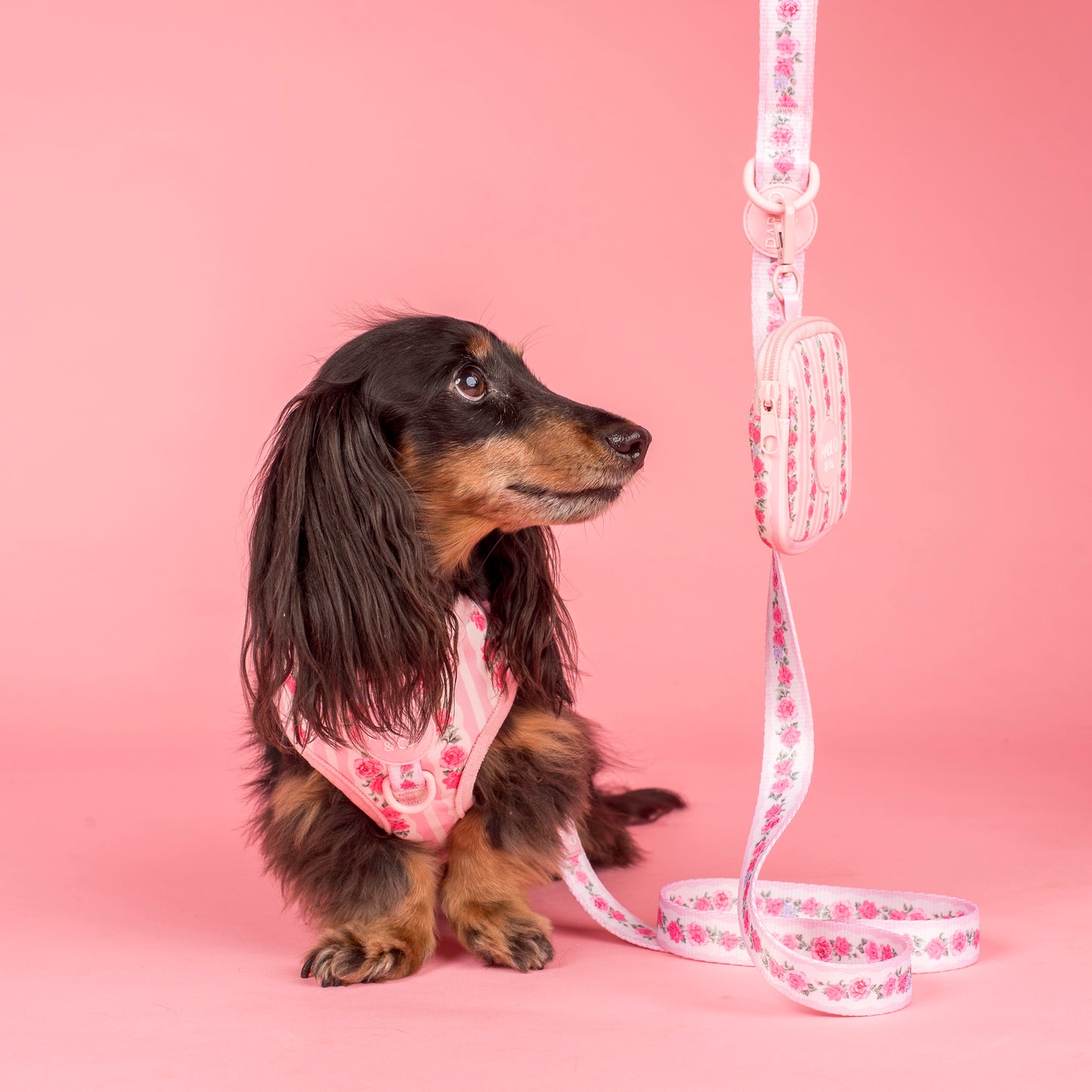 Vintage Rose: Treat Pouch