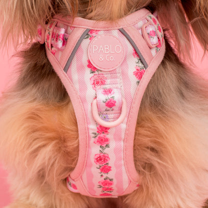 Vintage Rose: No Pull Adventure Harness