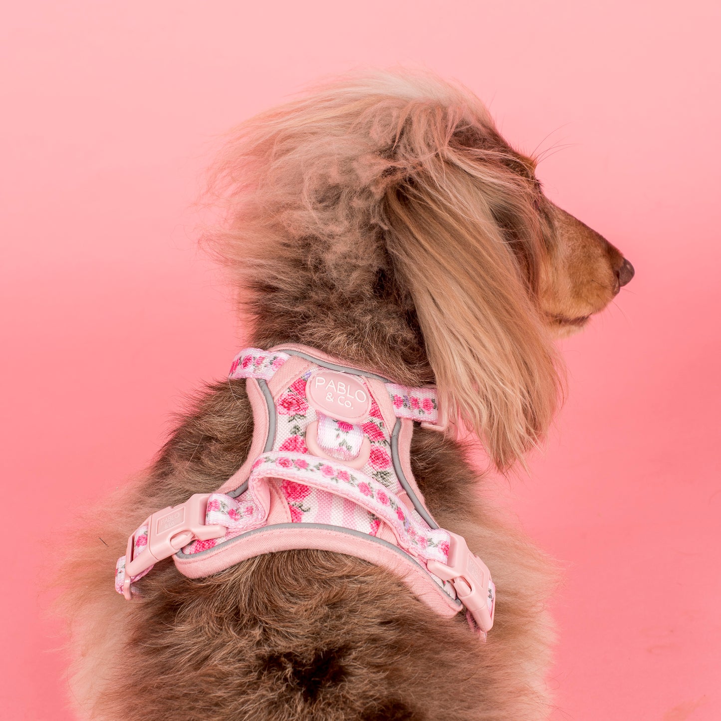 Vintage Rose: No Pull Adventure Harness