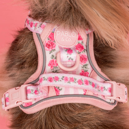 Vintage Rose: No Pull Adventure Harness