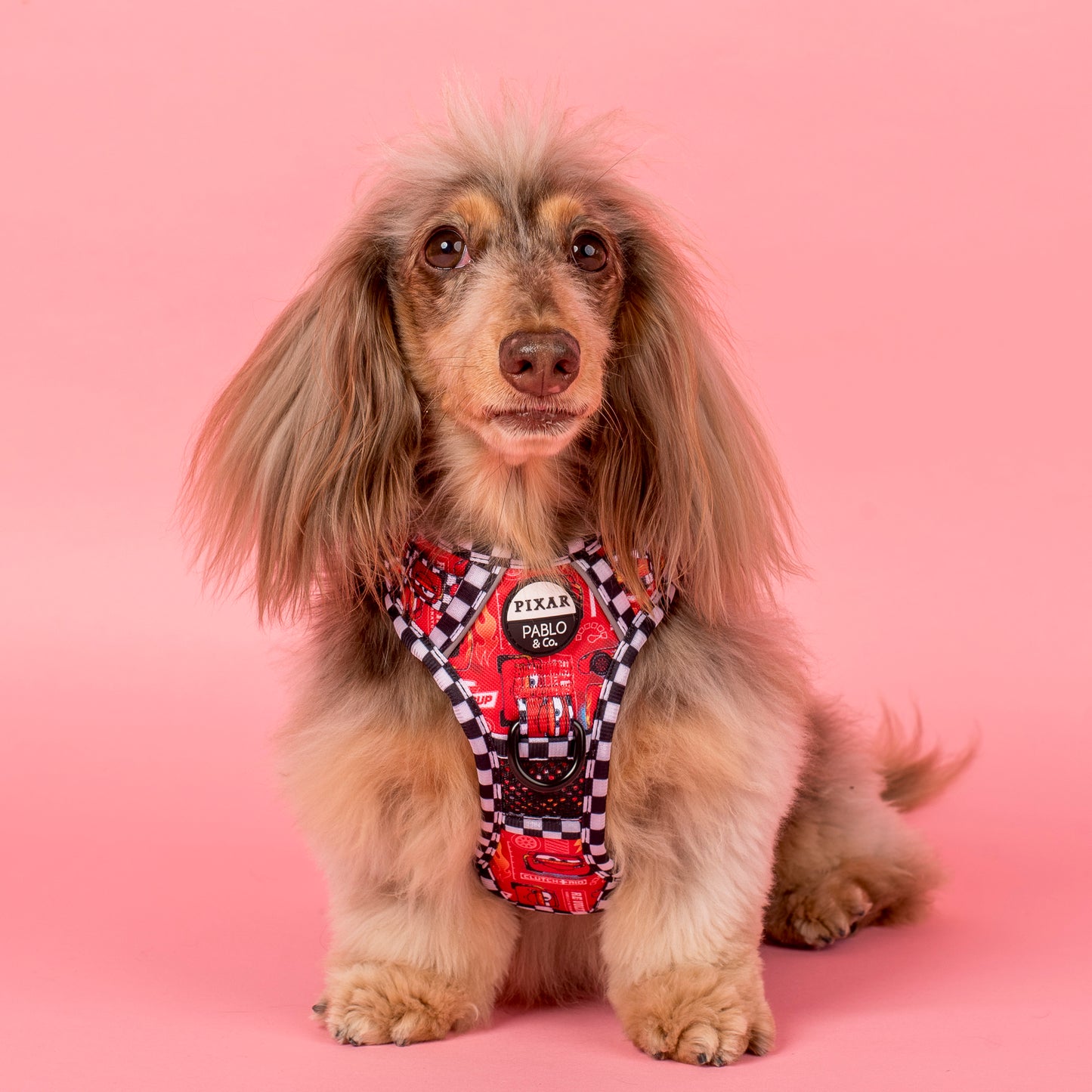 Cars: No Pull Adventure Harness