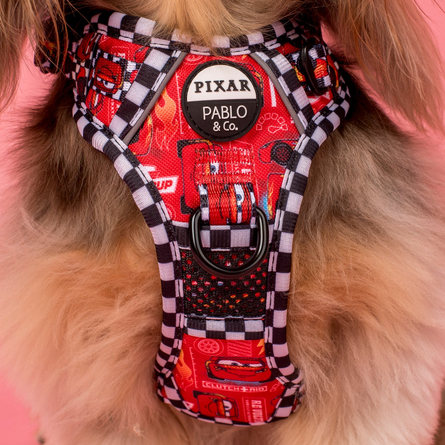 Cars: No Pull Adventure Harness