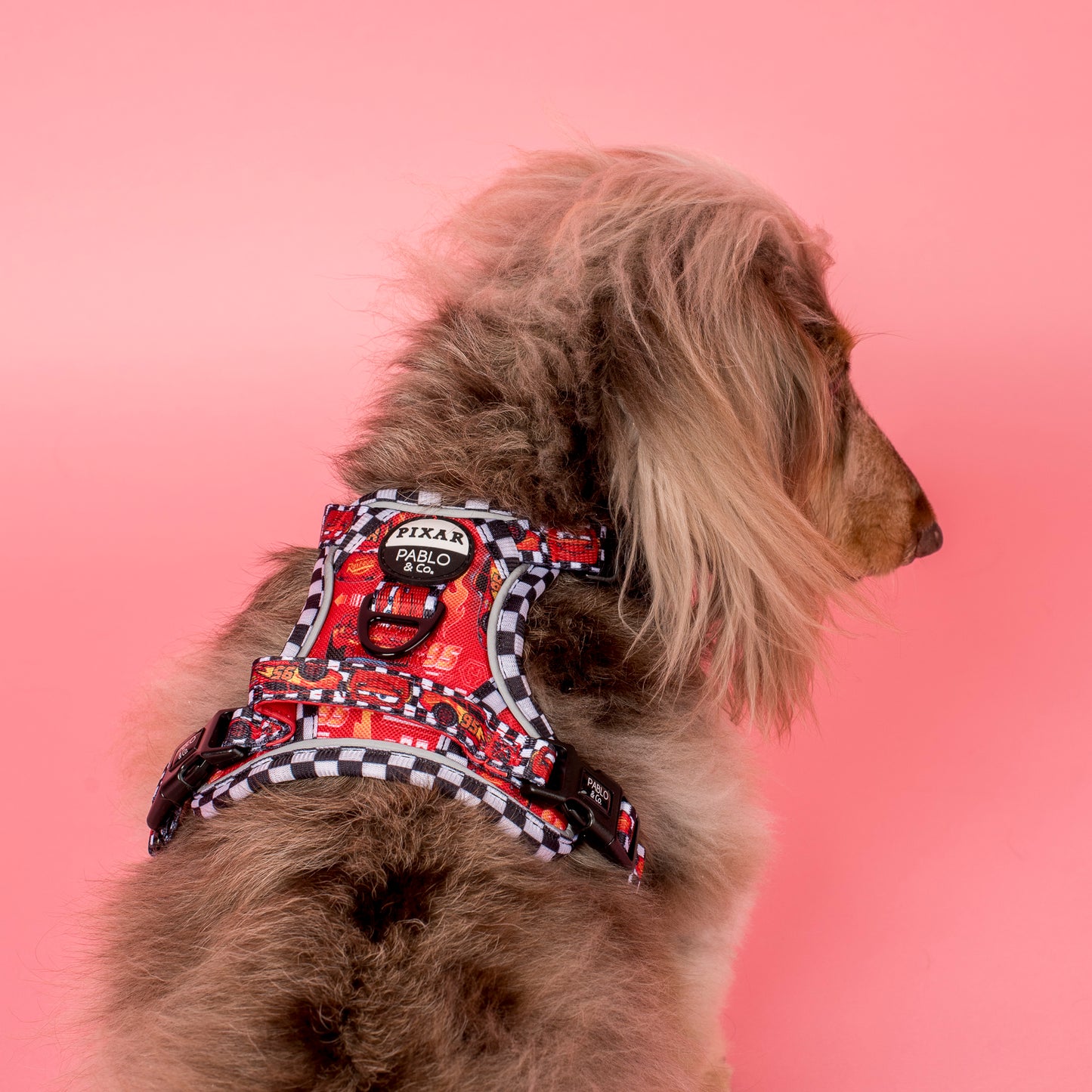 Cars: No Pull Adventure Harness